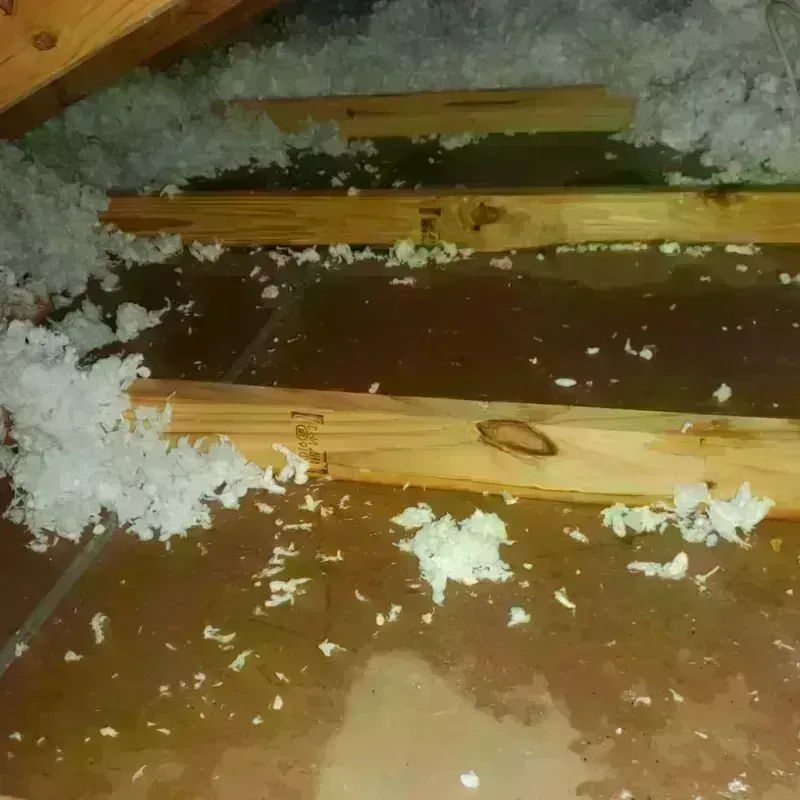 Attic Water Damage in North Hills, CA